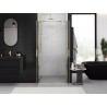 Mexen Exo-B Duo double hinged shower door 110 cm, transparent, gold - 814-110-000-50-00