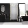 Mexen Exo double hinged shower door 120 cm, transparent, gold - 814-120-000-50-00