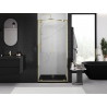 Mexen Exo-BR Duo double hinged shower doors 120 cm, transparent, gold - 8182-120-000-50-00