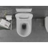 Mexen Lena Rimless toilet bowl with a slim soft close toilet seat, duroplast, white/gold checked pattern - 30224009
