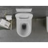 Mexen Lena Rimless WC Bowl with Soft-Close Slim Seat, Duroplast, White/Gold Scale Pattern - 30224008