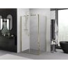 Mexen Exo hinged shower cabin 80 x 110 cm, transparent, gold - 814-080-110-50-00
