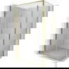 Mexen Exo hinged shower enclosure 110 x 75 cm, transparent, gold - 814-110-075-50-00