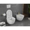 Mexen Lena Rimless toilet bowl with a slim soft close toilet seat, duroplast, white/gold line - 30224005