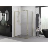 Mexen Exo-B Duo hinged shower cabin 110 x 100 cm, transparent, gold - 814-110-100-50-00