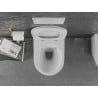 Mexen Lena Rimless toilet bowl with a slim soft close toilet seat, duroplast, white/gold line - 30224005