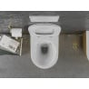 Mexen Lena Rimless WC bowl with soft-close slim seat, duroplast, white/gold line pattern - 30224007