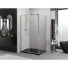 Mexen Exo-BR Duo pivot shower cabin 70 x 120 cm, transparent, gold - 8182-070-120-50-00