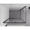 Mexen Exo-S 100 x 110 cm Sliding Shower Enclosure, Transparent, Black - 8151-100-110-70-00