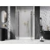 Mexen Lunar Duo 140 cm Hinged Shower Doors, Transparent, Gold - 834D-140-000-50-00