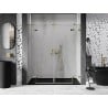 Mexen Lunar Duo 200 cm Hinged Shower Door, Transparent, Gold - 834D-200-000-50-00