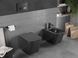 Mexen Teo Rimless WC bowl, matte black - 3385XX85