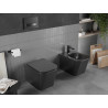 Mexen Teo Rimless WC bowl with soft-close slim seat, duroplast, matte black - 30850685
