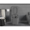 Mexen Teo Rimless Toilet Bowl with Soft-Close Slim Seat, Duroplast, Dark Grey Matte - 30854071