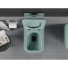 Mexen Teo Rimless WC Bowl with Slim Soft-Close Seat, Duroplast, Light Matte Green - 30854048