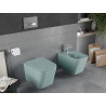 Mexen Teo Rimless WC Bowl with Slim Soft-Close Seat, Duroplast, Light Matte Green - 30854048