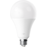 Mexen Nova LED Bulb E27, A95, 25W, Cool - 6500K, 2625 lm - L100-E27-2565-01