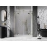 Mexen Lunar L Duo Shower Doors Swing 160 cm, Transparent, Gold - 834DL-160-000-50-00