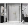 Mexen Lunar L Duo 170 cm Hinged Shower Doors, Transparent, Gold - 834DL-170-000-50-00