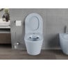 Mexen Rico Rimless toilet bowl with a slim soft close toilet seat, duroplast, Gray blue matt - 30724069