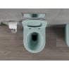 Mexen Rico Rimless WC Bowl with Slow-Closing Slim Seat, Duroplast, Light Green Matte - 30724048