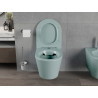 Mexen Rico rimless toilet bowl with a slim soft-close seat, duroplast, light green matte - 30724048