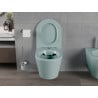 Mexen Rico Rimless WC Bowl with Slow-Closing Slim Seat, Duroplast, Light Green Matte - 30724048