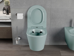 Mexen Rico rimless toilet bowl with slow-close slim seat, duroplast, light green matte - 30724048