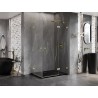 Mexen Lunar Duo Shower Enclosure Pivot Right 110 x 105 cm, Transparent, Brushed Gold - 834-110P-105L-55-00
