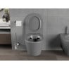 Mexen Rico Rimless Toilet Bowl with Soft-Close Slim Seat, Duroplast, Dark Grey Matte - 30724071
