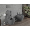 Mexen Rico Rimless WC Bowl with Slim Soft-Close Seat, Duroplast, Dark Gray Matte - 30724071