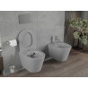 Mexen Rico WC bowl Rimless with soft-close slim seat, duroplast, light gray matte - 30724061