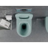 Mexen Lena rimless toilet bowl with slim soft-close duroplast seat, light green matte - 30224048