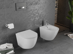 Mexen Lena Rimless WC bowl with slim soft-closing seat, duroplast, white gloss - 30220300