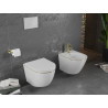 Mexen Lena rimless toilet bowl with soft-close slim seat, duroplast, white/gold line - 30224005