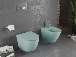 Mexen Lena rimless toilet bowl with slim soft-close duroplast seat, light green matte - 30224048