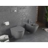 Mexen Lena Rimless WC Bowl with Soft-Close Slim Seat, Duroplast, Dark Gray Matte - 30224071