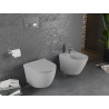 Mexen Lena Rimless Toilet Bowl with Slim Soft-Close Seat, Duroplast, Light Gray Matte - 30224061