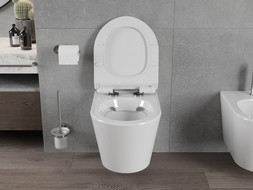 Mexen Rico Rimless WC Bowl with Soft-Close Slim Seat, Duroplast, White Gloss - 30720100