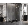 Mexen Lunar L Duo hinged shower cabin right 115 x 95 cm, transparent, brushed gold - 834L-115P-095L-55-00