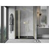 Mexen Mist L shower door swing 145 cm, transparent, brushed gold - 8A4L-145-001-55-00
