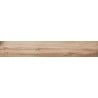 Mexen Indica Beige glazed rectified stoneware, wood-like floor and wall tile 120 x 20 cm, matte - TL604-120-020-00