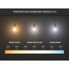 Mexen Vintis LED Filament Bulb E27, G45, 2W, Neutral - 4000K, 240 lm, clear - L156-E27-0227-00 - L156-E27-0240-00