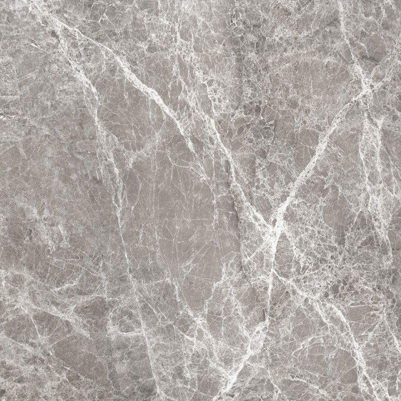 Mexen Lizard Glazed Grey Gres rectified G1, floor-wall tile 60 x 60 cm, gloss - TL109-060-060-02