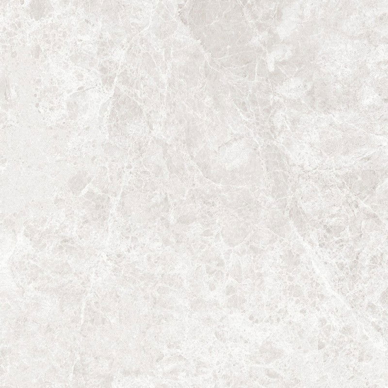 Mexen Lizard Silver Glazed Rectified Floor-Wall Tile G1, 60 x 60 cm, Glossy - TL109-060-060-03