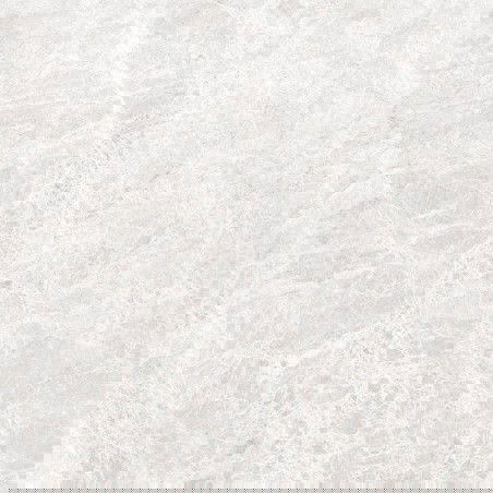 Mexen Lizard Silver Glazed Rectified Floor-Wall Tile G1, 60 x 60 cm, Glossy - TL109-060-060-03