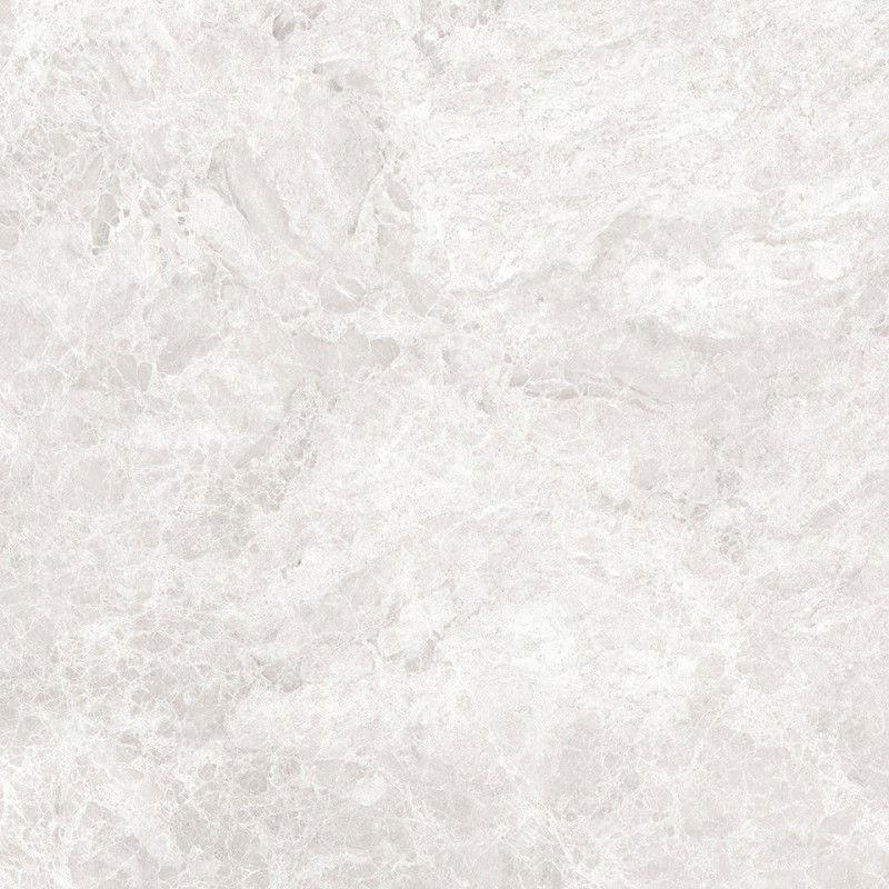Mexen Lizard Silver Glazed Rectified Floor-Wall Tile G1, 60 x 60 cm, Glossy - TL109-060-060-03