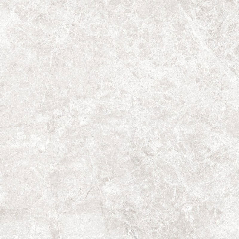 Mexen Lizard Silver Glazed Rectified Floor-Wall Tile G1, 60 x 60 cm, Glossy - TL109-060-060-03