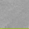 Mexen Inspira Rectified glazed grey gres G1, floor-wall tile 60 x 60 cm, matte - TL303-060-060-02