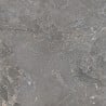 Mexen Terralite Gray Glazed Rectified Porcelain Tile G1, Floor and Wall Tile 60 x 60 cm, Matte - TL306-060-060-05